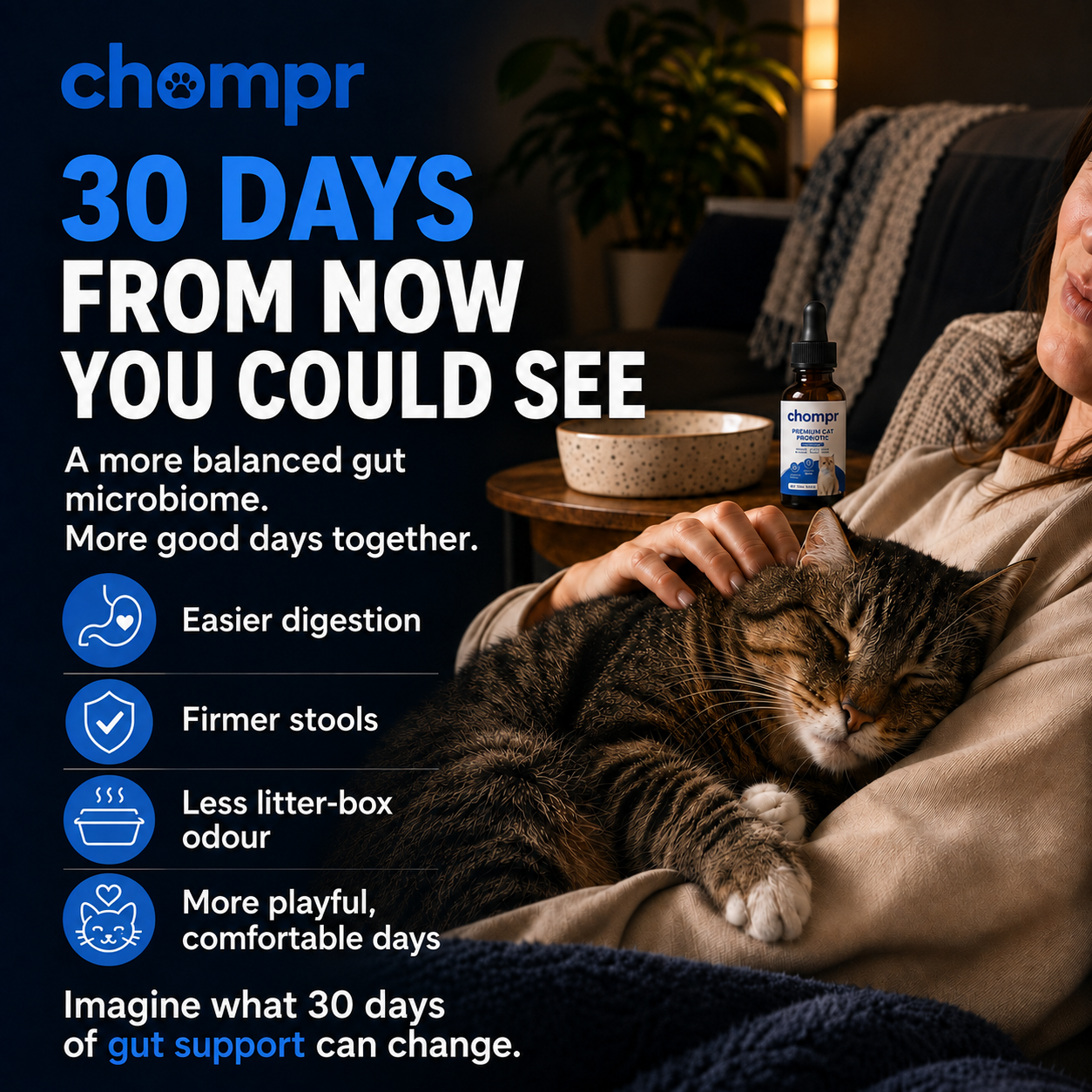 Premium Cat Probiotic